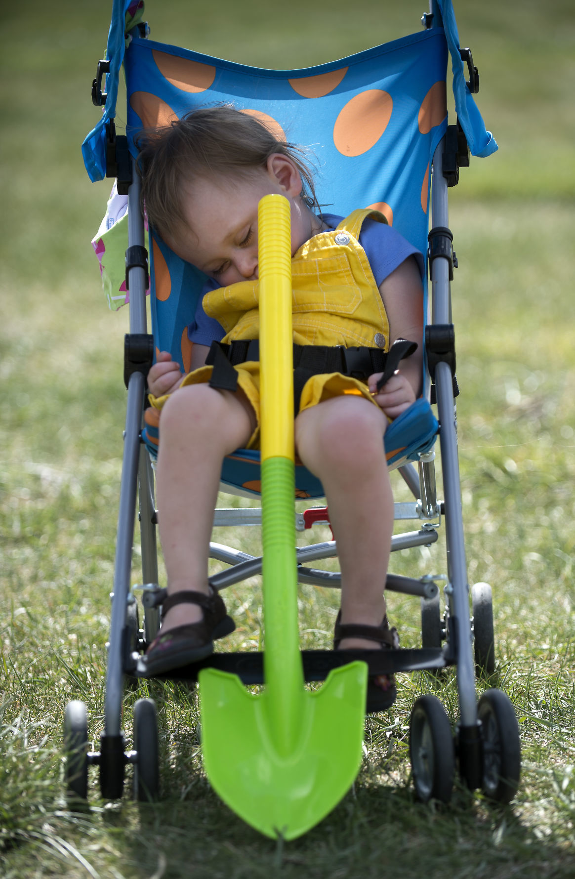 Arbor Day in Twin Falls
